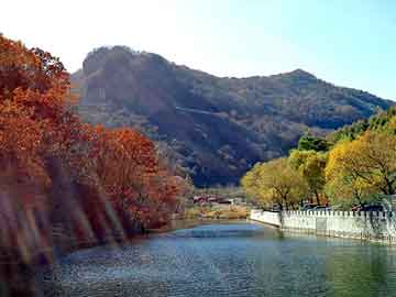 新澳天天开奖资料大全旅游团，铁力seo服务